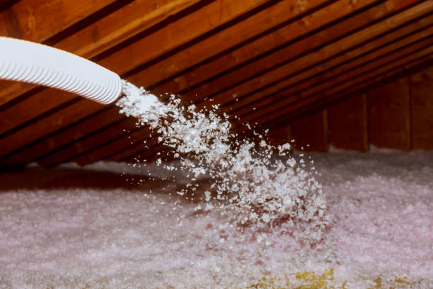 Best Cellulose Insulation in Ketchikan, AK